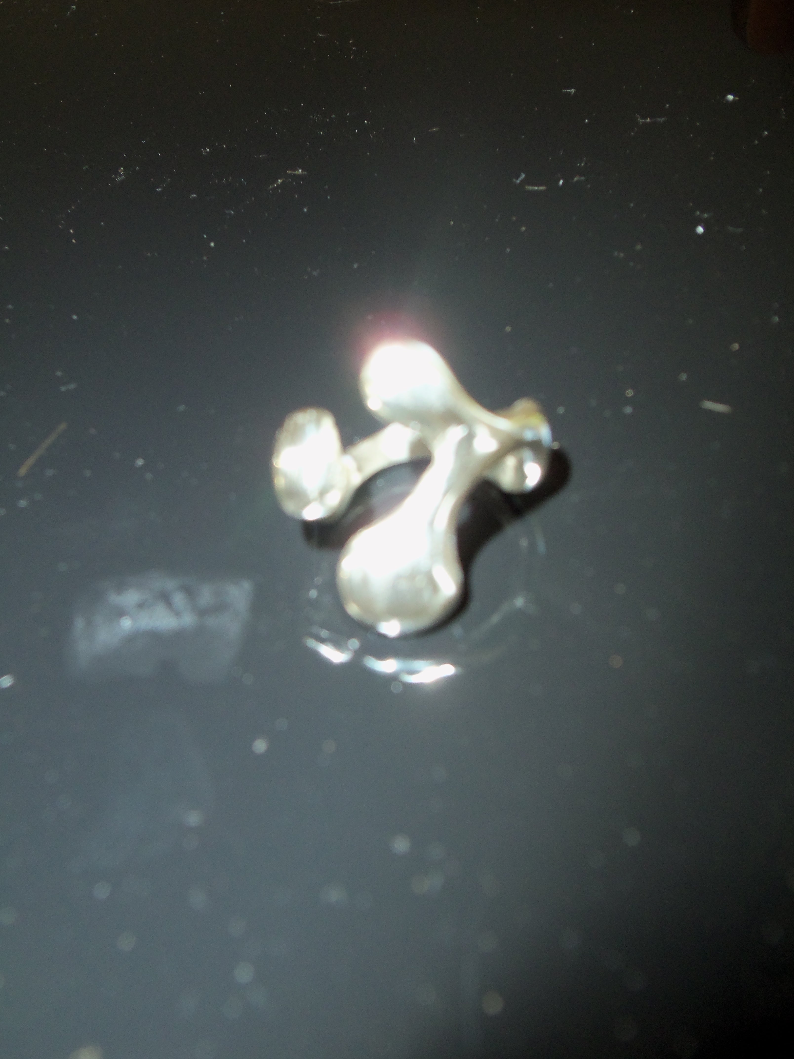 anillo n. 4