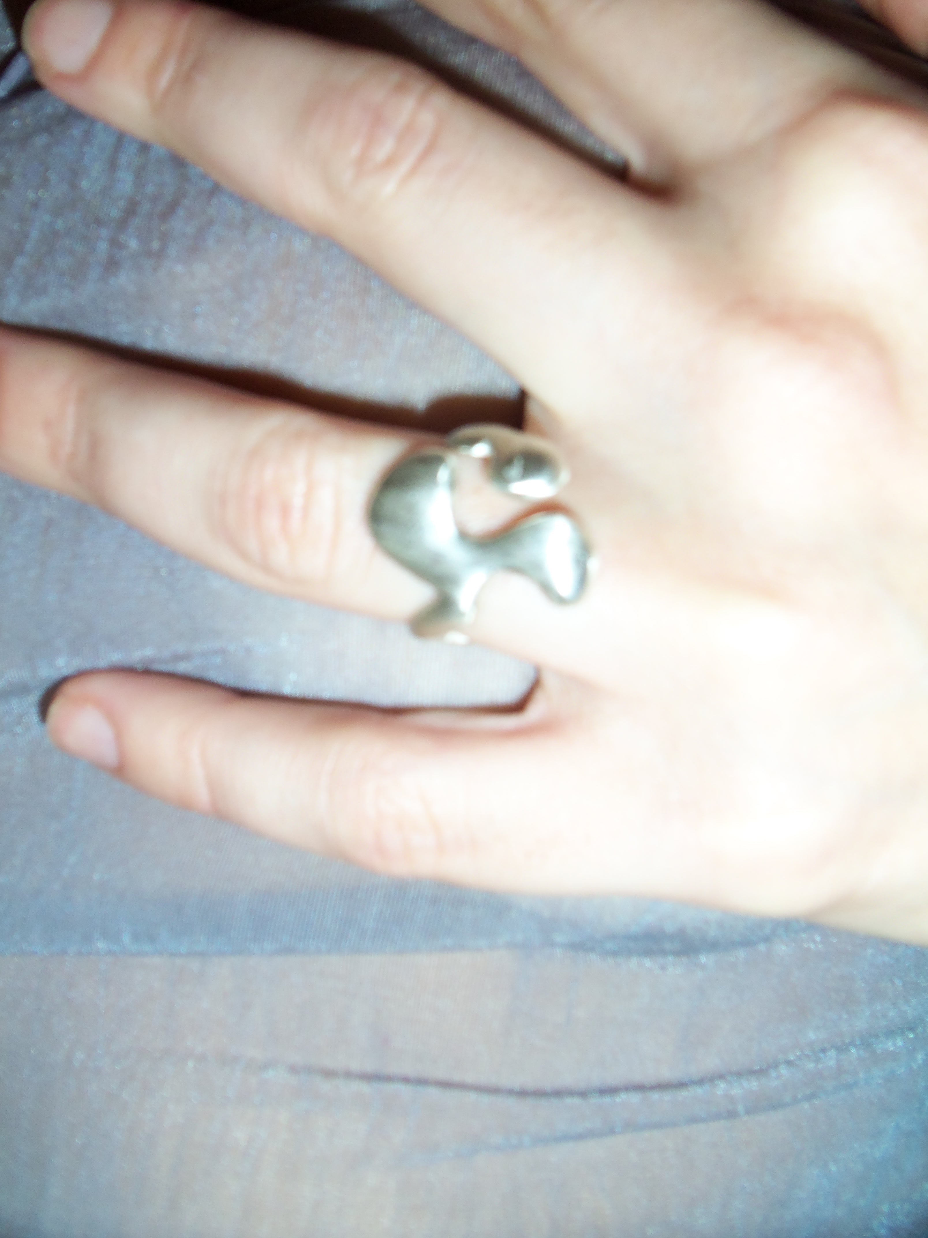 anillo n. 2