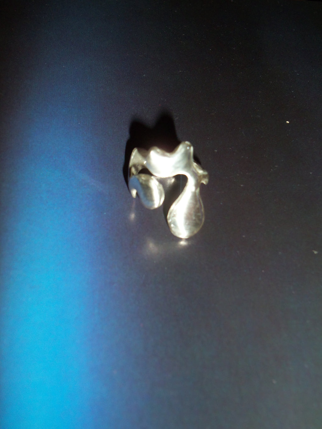 anillo n. 6
